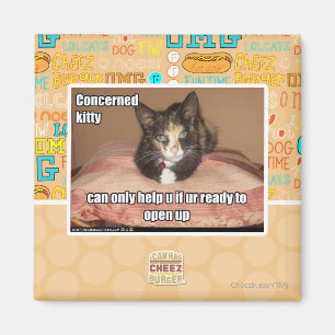 Íman Gatinho interessado