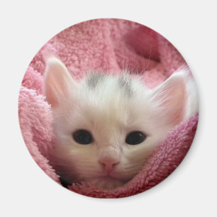 Íman Gatinho macio