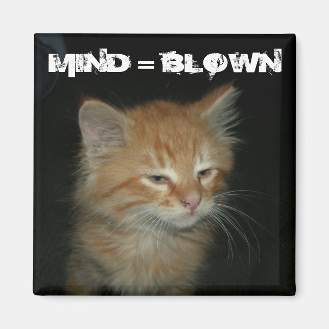 Íman Gatinho "MIND = BLOWN" (Frente)