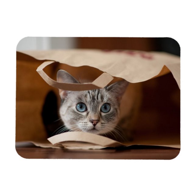 Íman Gatinho na Bolsa de compra (Horizontal)