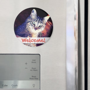 Íman Gatinho na fotografia do Fim-Acima das vigas