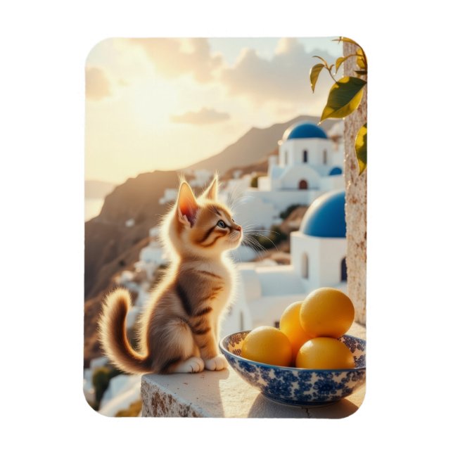 Íman gatinho na Itália (Vertical)