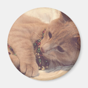 Íman Gatinho Natais vintages