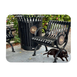 Íman Gatinho no Parque