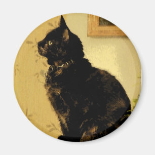 Íman Gatinho pintado
