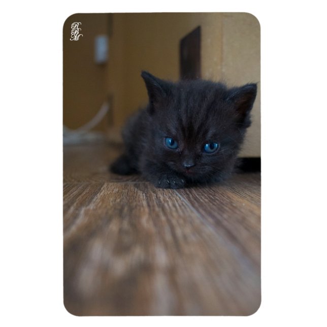 Íman Gatinho Preto (Vertical)