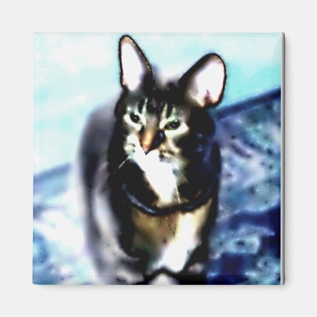 Íman Gatinho Psicadélico (Frente)