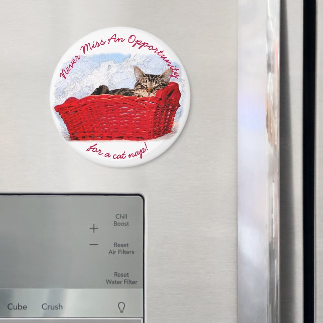 Íman Gatinho Que Dorme Engraçado Na Foto Personalizada  (In Situ (Fridge))