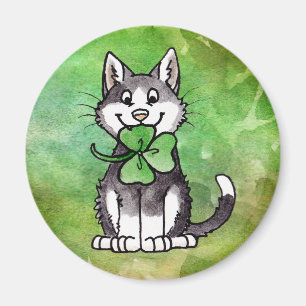 Íman Gatinho Shamrock