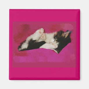 Íman Gatinho sonolento no rosa