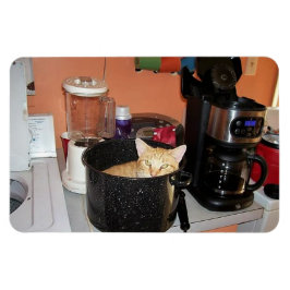 Íman Gatinho Stew
