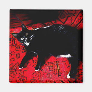 Íman Gatinho Tuxedo no ímã Red Rug