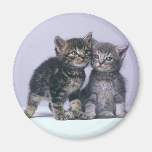 Íman gatinhos (Frente)