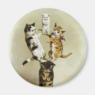 Íman Gatinhos bonitos que jogam, humor dos gatos do