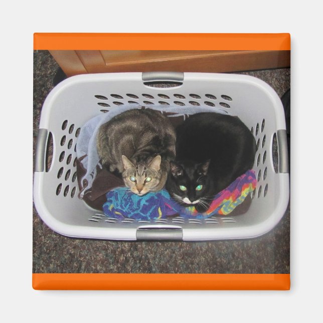 Íman Gatinhos de soquete (Frente)