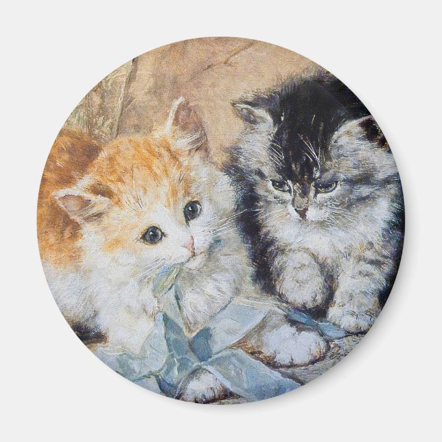 Íman Gatinhos no Play (Frente)