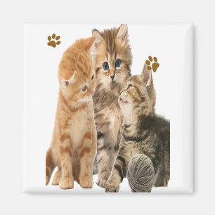 Íman Gatinhos que jogam t-shirt