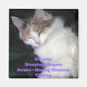 Íman Gatinhos: Sleeping=AngelsAwake=Moving Obstical Co