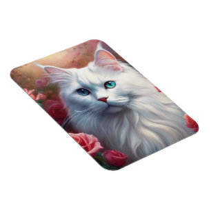Íman Gato