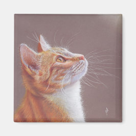 Íman Gato
