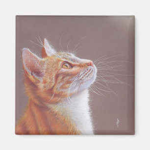 Íman Gato 