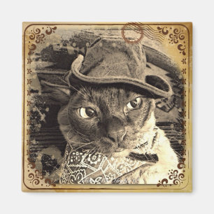 Íman Gato 3 do vaqueiro