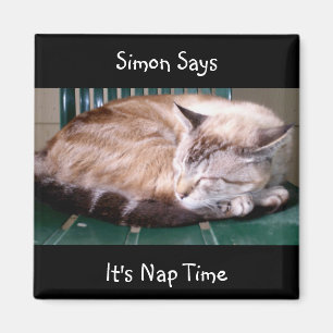 Íman Gato 7, é tempo da sesta, Simon diz, ímã