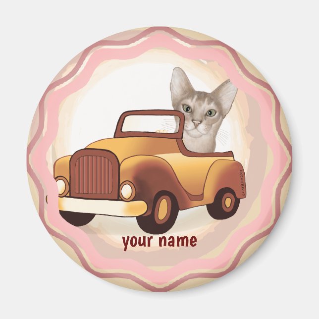 Íman Gato Abissínio Dirigindo Carro  (Frente)
