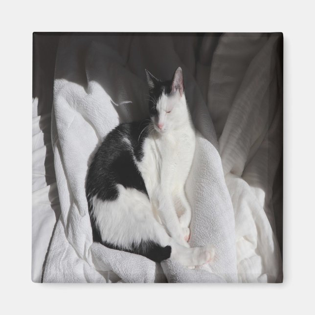Íman Gato Adormecido Preto e Branco/Adicione a Foto do  (Frente)