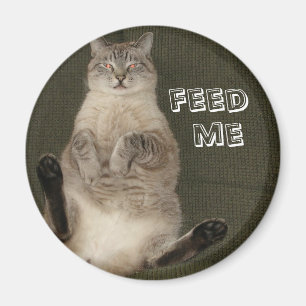 Íman Gato "ALIMENTAR-ME"