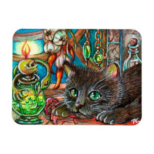 Íman Gato Alquimista