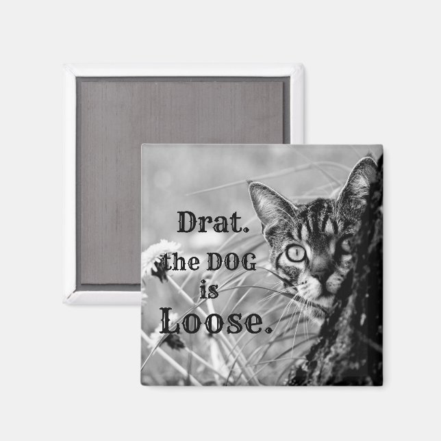 Íman Gato atrás da árvore, Drat, o Cachorro é solto. Ím (Front/Back)