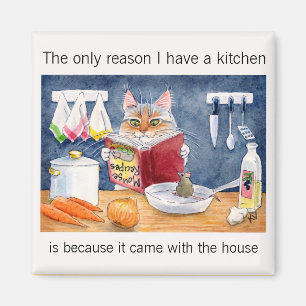 Íman Gato bonito, engraçado do cozinhar na cozinha
