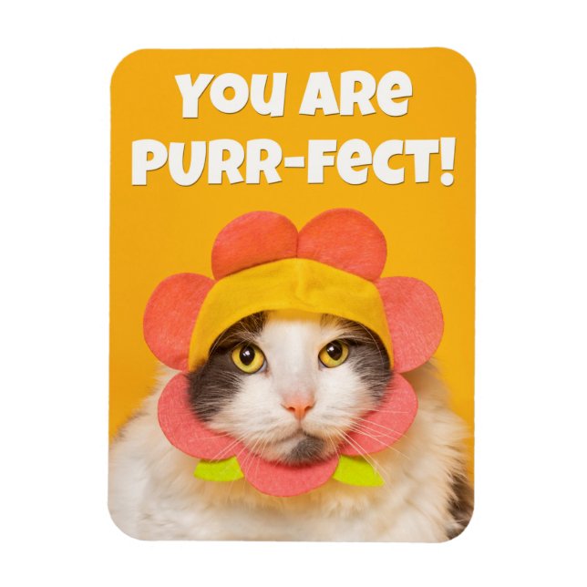 Íman Gato Bonito no Humor do Chapéu Flor (Vertical)