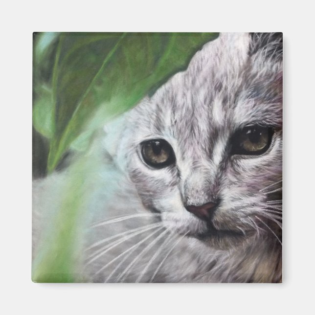 Íman Gato branco focado (Frente)