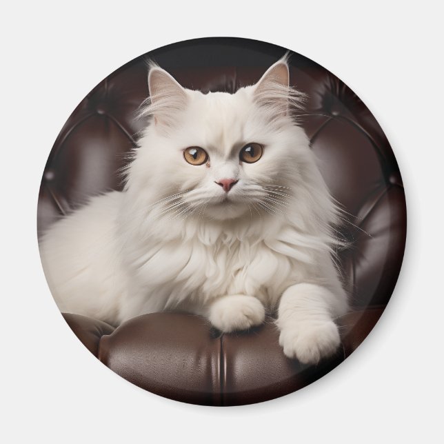 Íman Gato branco majestoso (Frente)