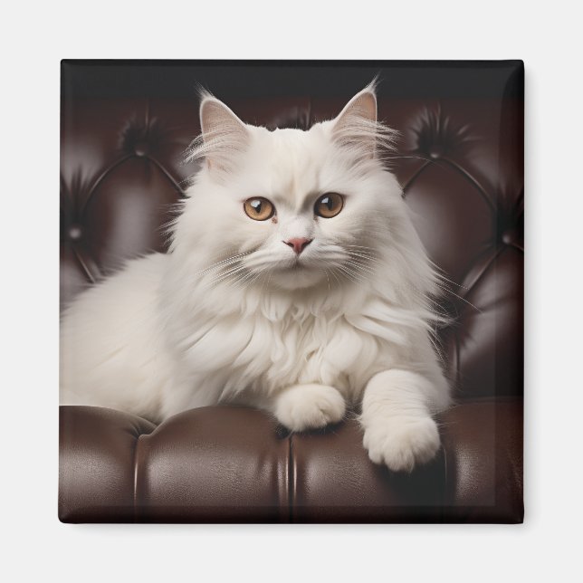 Íman Gato branco majestoso (Frente)