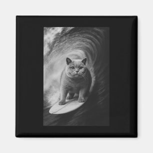 Íman Gato britânico de pêlo curto engraçado surfando se