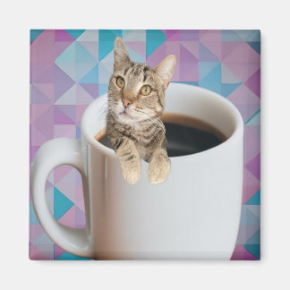 Íman gato café
