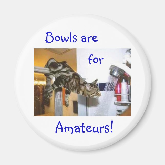 Íman Gato chá (Frente)