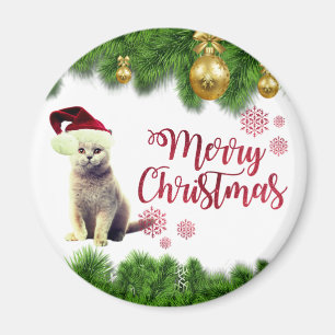 Íman Gato,Chapéu de Papai Noel,Bolas de Natal