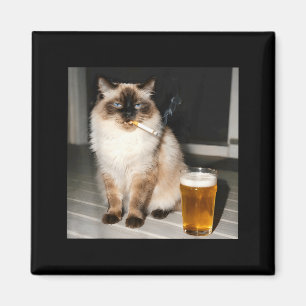 Íman Gato Cigarro Engraçado Gato Ragdoll Kitten Fumando