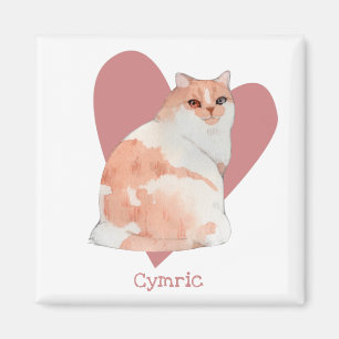 Íman Gato Címico Coração Cor de Água Gatinho Rosa