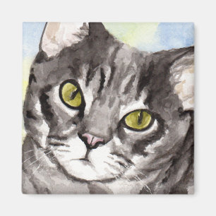 Íman Gato Cinza
