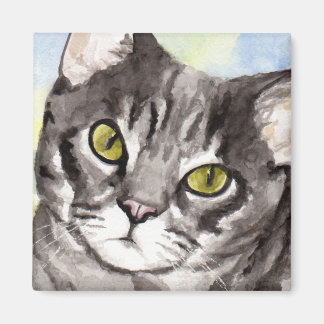 Íman Gato Cinza