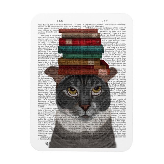Íman Gato cinza com Livros na Cabeça (Vertical)