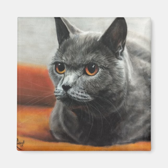 Íman Gato cinza descansando com olhos laranja (Frente)