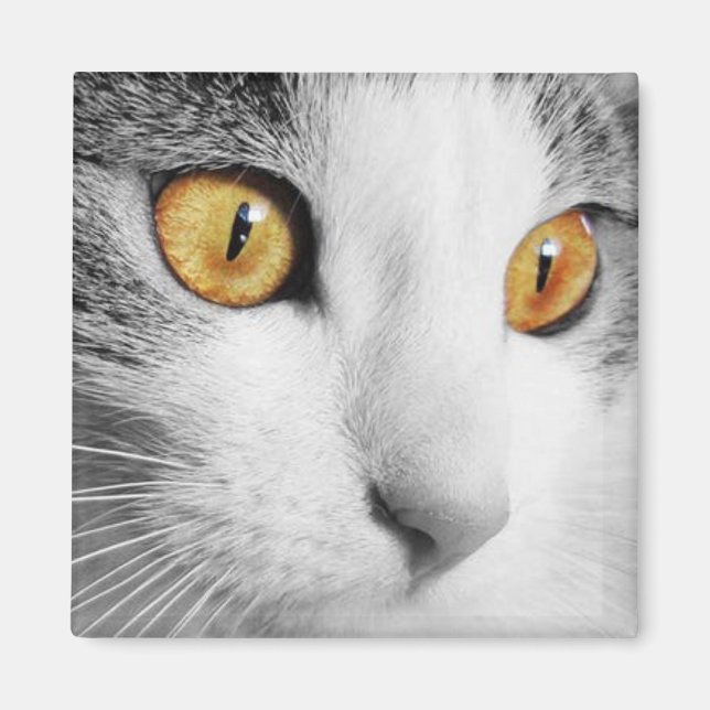 Íman Gato Cinza e Branco (Frente)