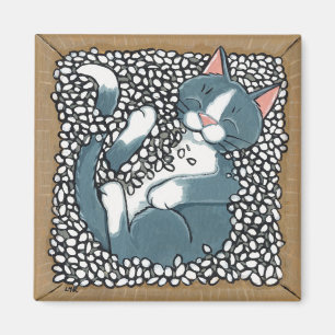 Íman Gato cinzento do smoking que dorme na caixa de