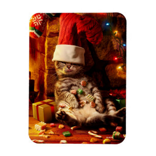 Íman Gato com a Cabeça